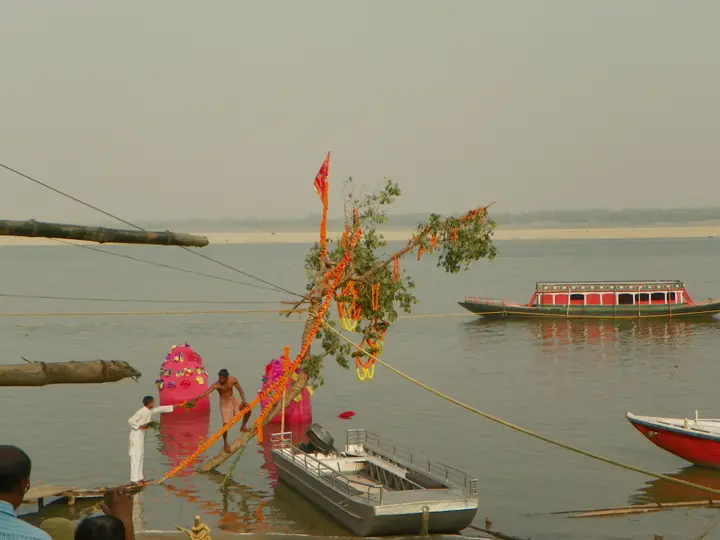 A kadamba tree set up on the riverbank at Tulsi Ghat for Nag Nathaiya