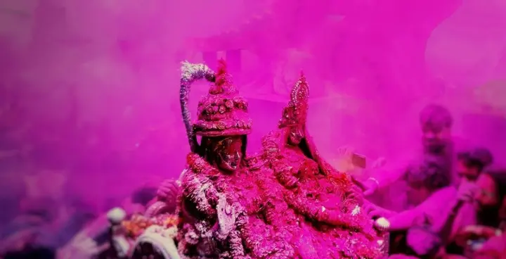 A palanquin in clouds of pink gulal on Rangbhari Ekadashi in Varanasi